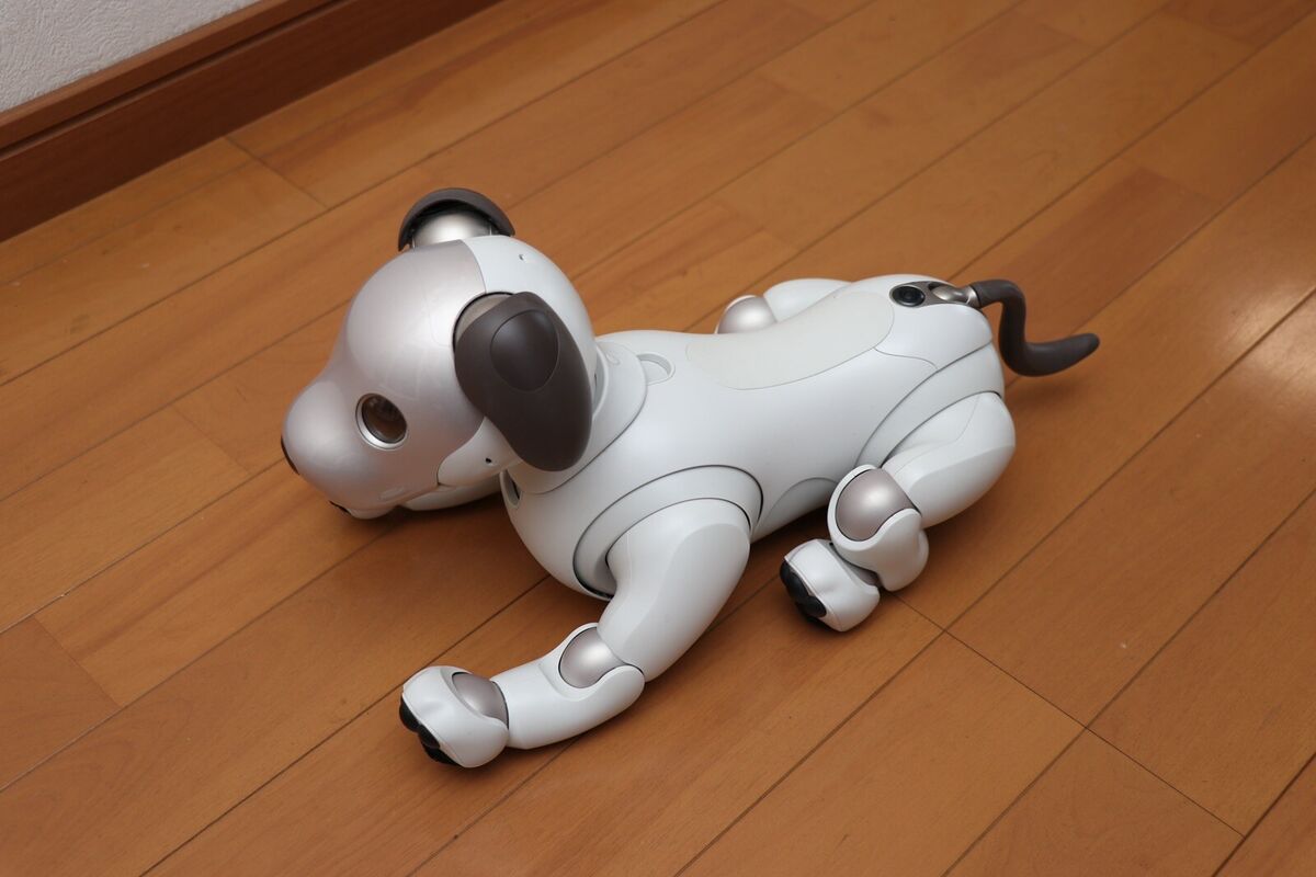 Sony AIBO ERS-1000 Entertainment Robot Dog accessories Japan Sony AIBO ERS-1000 Entertainment Robot Dog accessories Japan