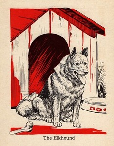 1940 Antique Elkhound Print Vintage Diana Thorne Elkhound Dog Art 5393b