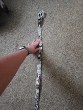 Western Bling Belt XS