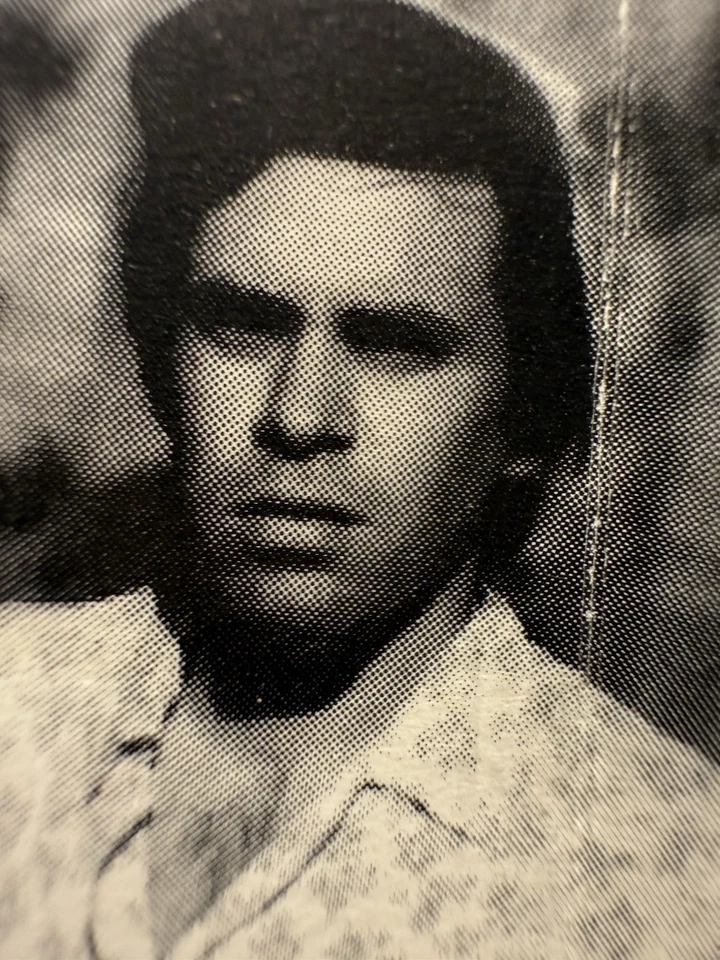 1994 MEAT PUPPETS TOO HIGH TO DIE ROCK CASSETTE PARADISE VALLEY ARIZONA - Image 3 of 4