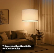 Filltown Plug In Pendant Light