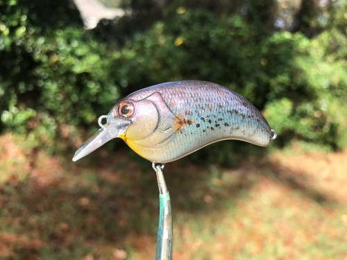 SPEEDBAITS Custom Airbrushed DEPS EVOKE 1.2 Crankbait CLONE - Imagen 6 de 11