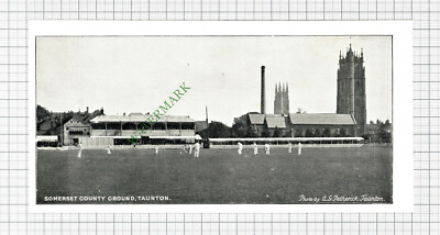 Somerset County Cricket Ground Taunton  - c.1895 Cutting / Print