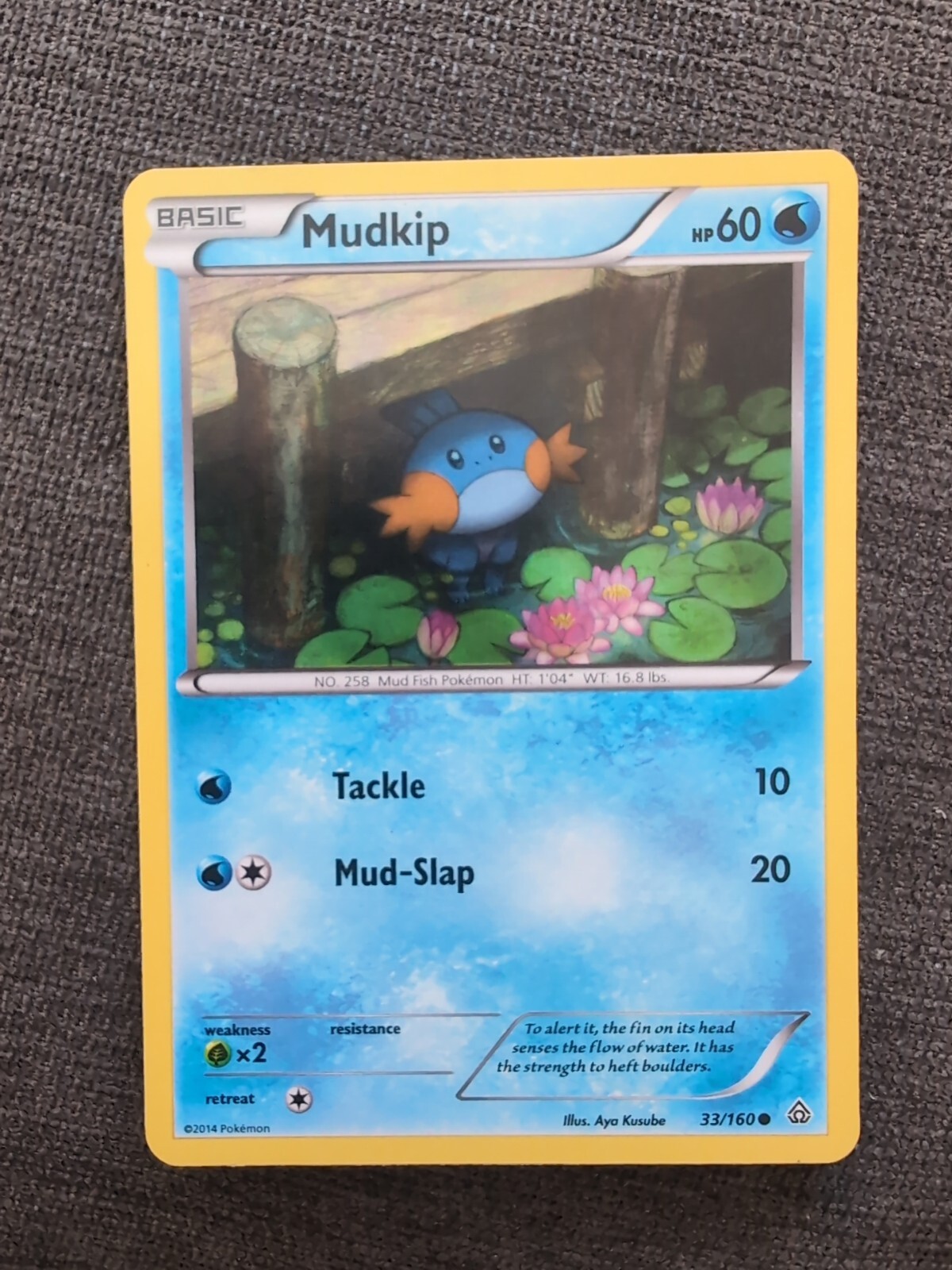Pokemon MUDKIP 33/160 - XY Primal Clash Rev Holo Card LP
