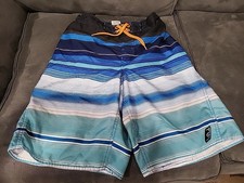 Boys Laguna Blue Stripe Bathing Suit / Swim Trunks - Size 14/16