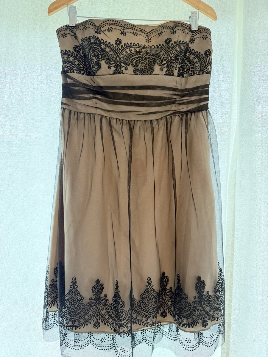 princess polly baby blue dress Birdy Grey Bridesmaid Dress Review