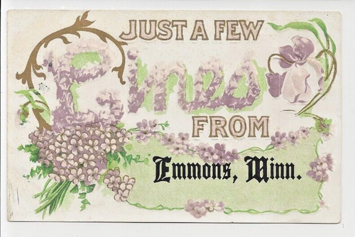 Just a Few Lines Fron Emmons Minnesota floral Vine Small Town Rural Living