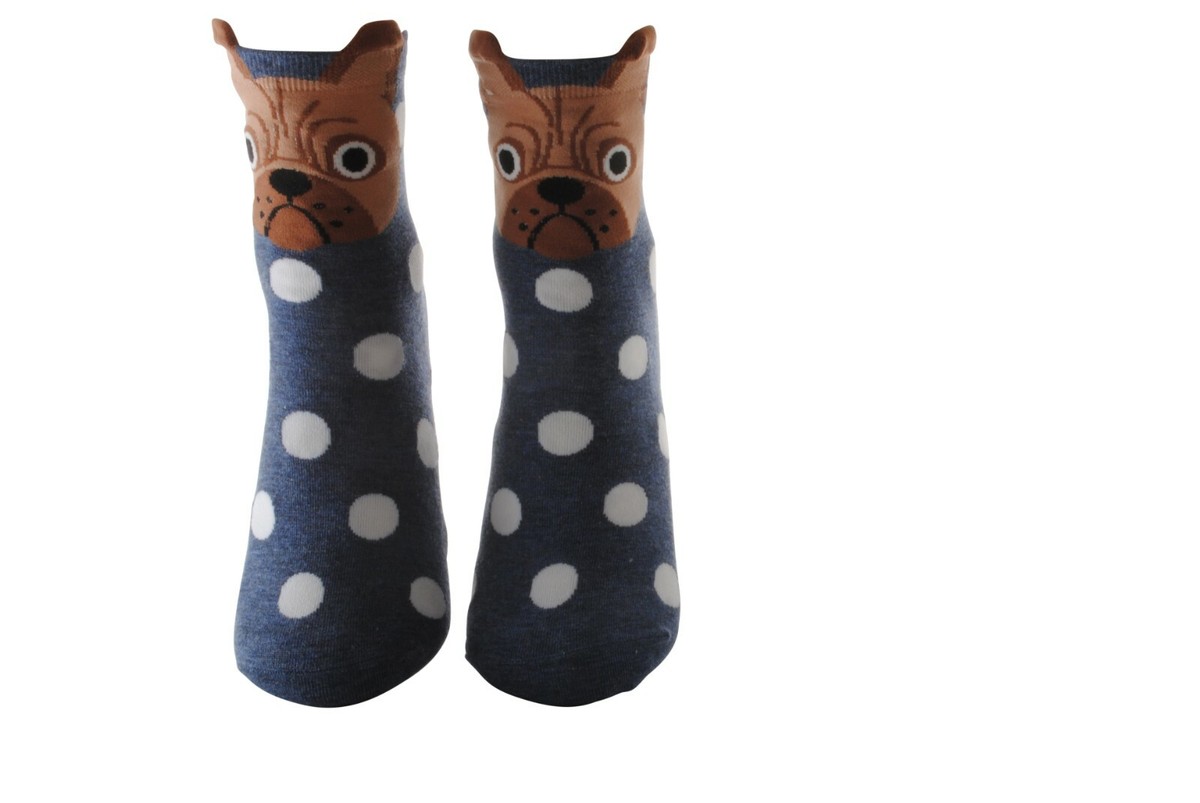 Nouveauté Amusant Mignon à Pois Chaussettes Chien Carlin - Main Image