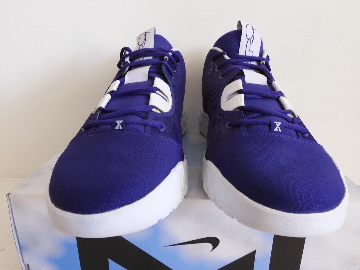 NIKE PG 6 TB PROMO PAUL GEORGE COURT PURPLE-WHITE SZ 17 RARE