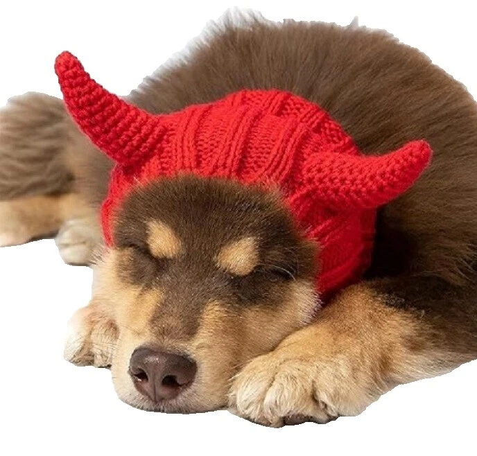 Trajes de perro de algodón Diablo