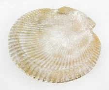 Vintage Gold Speckle 9" Shell Design Decorative Candy Dish