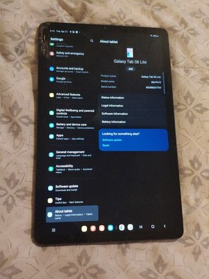 Samsung Galaxy Tab S6 Lite SM-P610 10.4'' 64g 4g WiFi Gray AOS 13  READ 