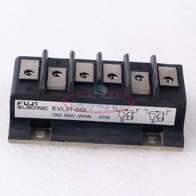 1PCS NEW EVL31-055   MODULE EVL31055 #lk