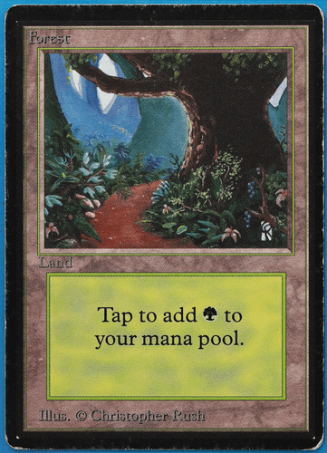 Forest (B Path) Beta HEAVILY PLD Basic Land MAGIC MTG CARD (ID# 505762) ABUGames - Picture 1 of 2