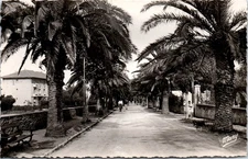 83 SANARY SUR MER old postcard [REF/46532]