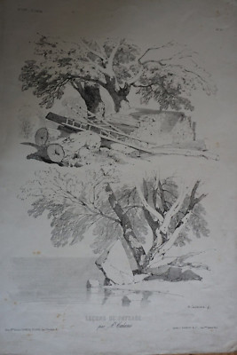 ALEXANDRE CALAME (1810-1864) LARGE LITHO NINETEENTH STUDY LANDSCAPE COUNTRY TREE