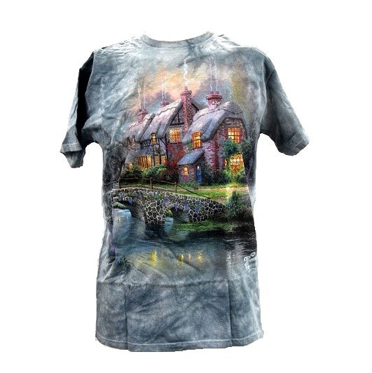 Мужская футболка Delta Pro Weight Cobblestone Bridge многоцветного цвета - большого размера