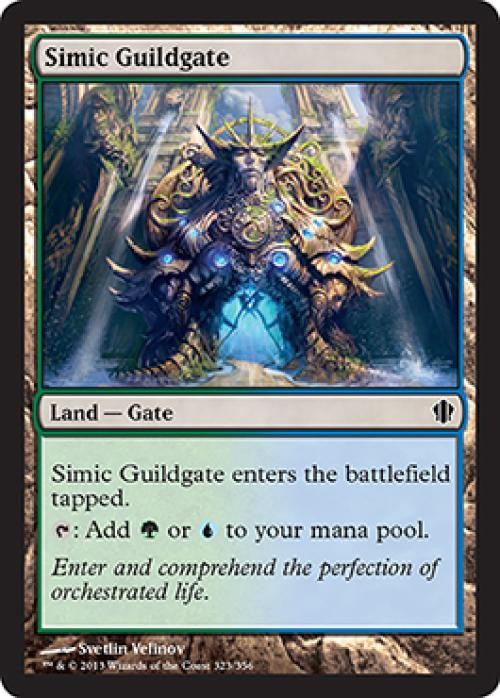 Simic Guildgate - C13 MTG - Light Play
