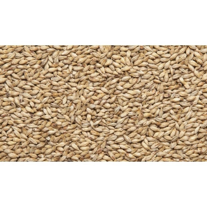 Malt, grain 55 lbs Pilsen Malt Briess Malting Lightest Color Base Malt for Lager - Image 3 of 3