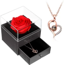 Preserved Real Rose with I Love You Necklace 100 Languages, Gifts for Girlfriend