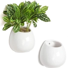 6 inch White Ceramic Wall Planter Vase, Hanging / Desktop Succulent Plant String