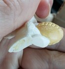 Foto 3 di 3