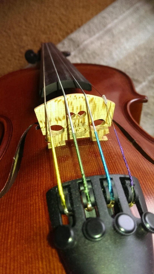 Nuevo violín Gliga Maestro 1/2 (medio tamaño) con configuración profesional Foto 3 de 4