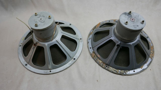 speaker philips 12 inch