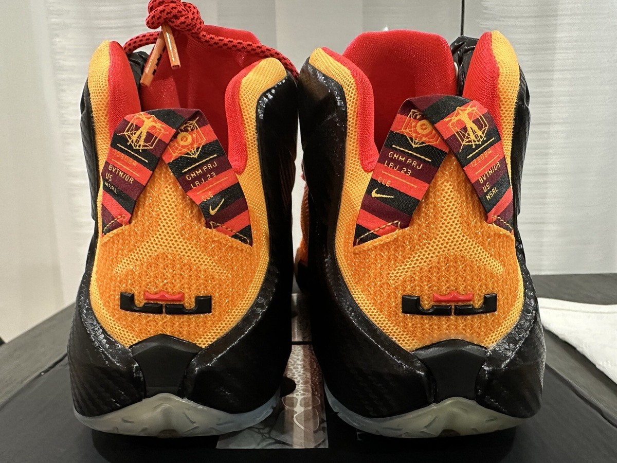 Nike LeBron 12 CLE - 684593-830 Cleveland Witness 10.5 