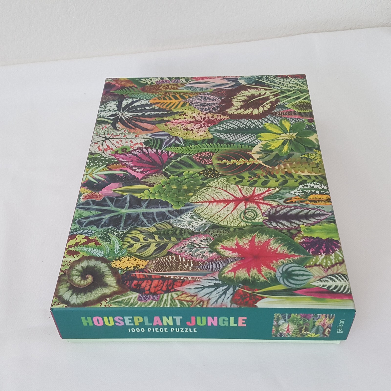 Houseplant Jungle Jigsaw Puzzle 1000 Piece Galison Puzzles 18" X 24' In Complete