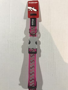 red dingo reflective collar