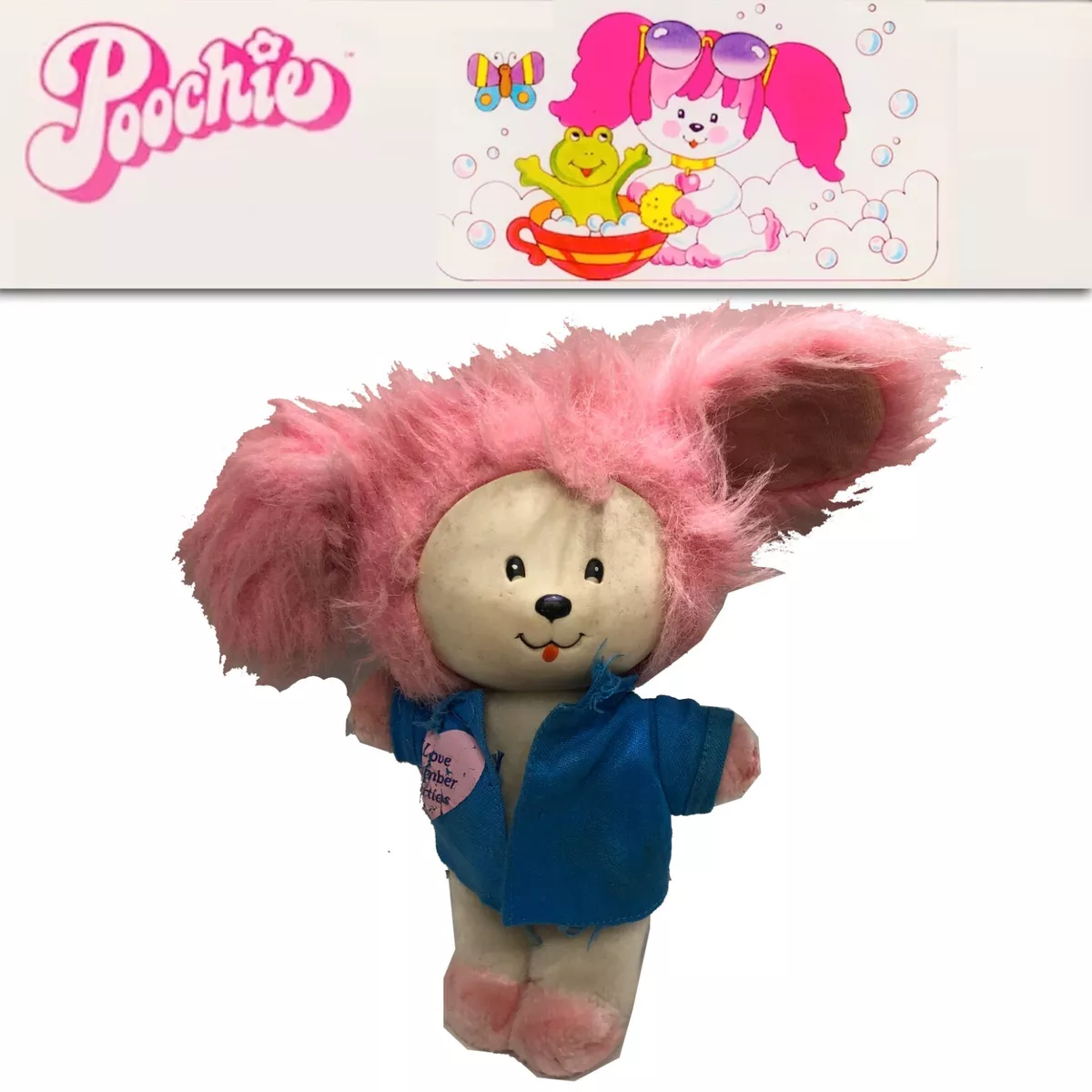 Poochie 2024 the dog