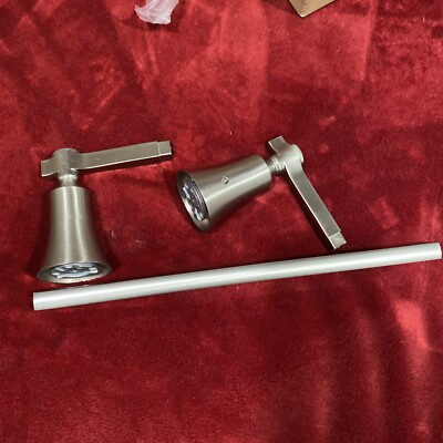 Moen Flara Brushed Nickel 18in Designer Grab Bar YB0318BN