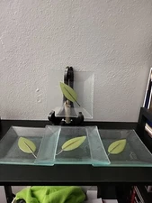 Fall Themed Fused Glass Leaf Pattern Appetizer Dessert Plates Textured Glass