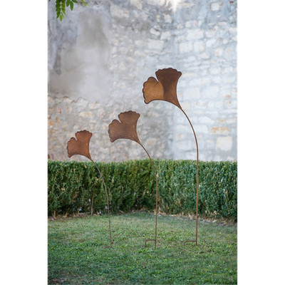 Ginkgo 150cm