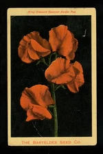 Advertising postcard The Barteldes Seed Co Lawrence Kansas KS 1913