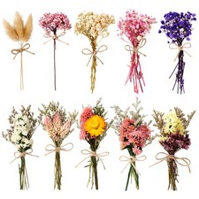 WGXX 10/12/24/36 Pack Mini Dried Flowers for Classic Color2, Various Series