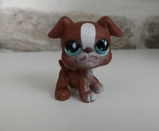 Petshop Chien Boxer Puzzle Hasbro