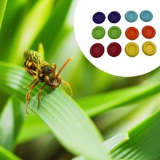 12 Pieces Roaches Feeder Bowls Feeding Dish for Dubia Roaches Isopods