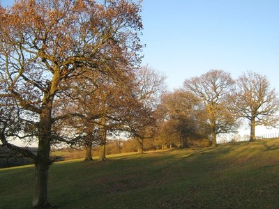 Foto A3 Baumlinie Richtung Longcraft Wood Ridge Reihe oben auf einem c2011