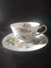 Lynmore Fine China Tea Cup & Saucer Set (Golden Rose)