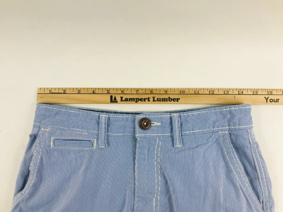 Pantalones Cortos de Jean American Eagle Outfitters Para Hombre Talla 28 Azul Rayas Active Flex Foto 3 de 4