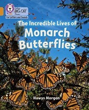 The Incredible Lives of Monarch Butte..., Morgan, Hawys