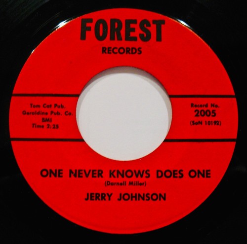 JERRY JOHNSON~Voice Of Our Conscience ✦ Country Blues Hillbilly 45~FOREST #2005 - Picture 2 of 2