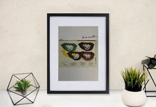 Andy Warhol, Hand-Signed Original Print With COA + $3,500 USD Appraisal.