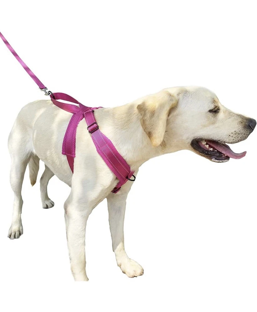 Dog Harness No Pull Adjustable Reflective Breathable Outdoor Vest Medium Pink