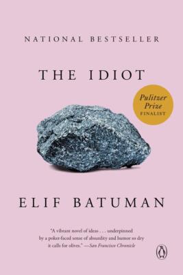 The Idiot | Elif Batuman | englisch
