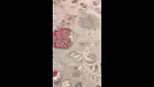 Video 1 of 1
