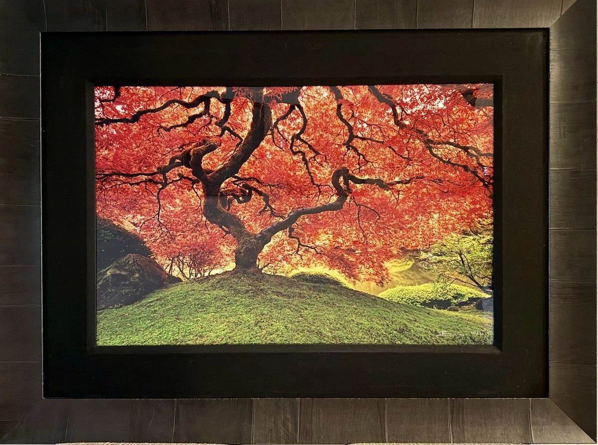 Peter Lik Single Piece Art Photographs for sale | eBay