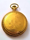 Vintage Elgin Pocket Watch in Hunter's Case, 1900's